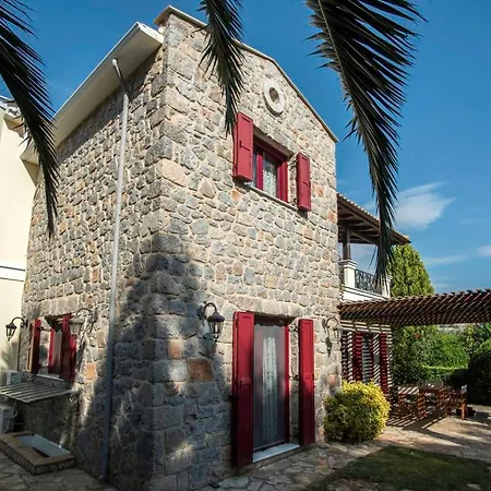 Villa Mansion *